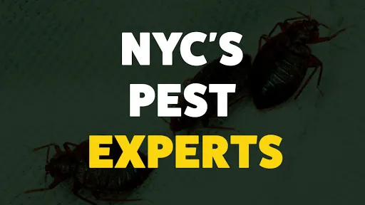 Expert Exterminating Inc. Picture 1