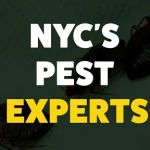 Expert Exterminating Inc.