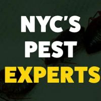 Expert Exterminating Inc. ico