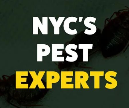 Expert Exterminating Inc.