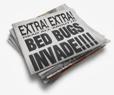 Bed Bug Exterminator NYC Picture 4