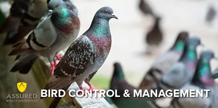 Assured Environments Picture 5