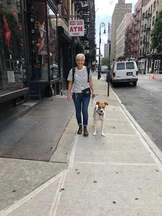 Doctor Sniffs Bed Bug Dogs Picture 9