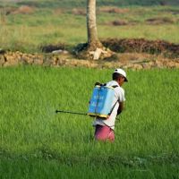 Best pest Control ico