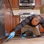 Green Earth Pest Control, Inc.