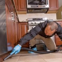 Green Earth Pest Control, Inc. ico