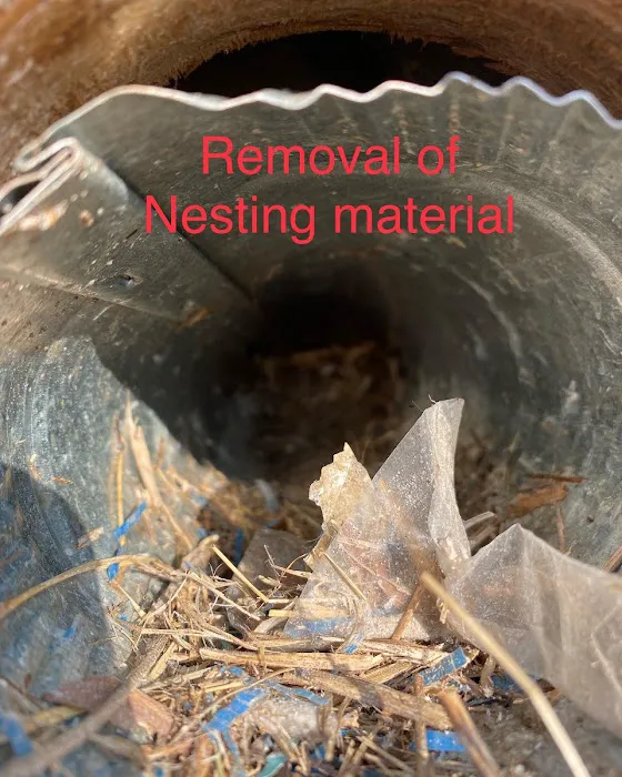 Target Pest Management Picture 1