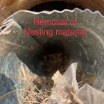 Target Pest Management