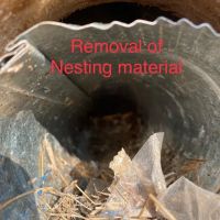 Target Pest Management ico