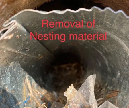 Target Pest Management