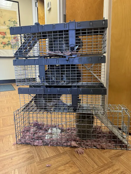 Target Pest Management Picture 9