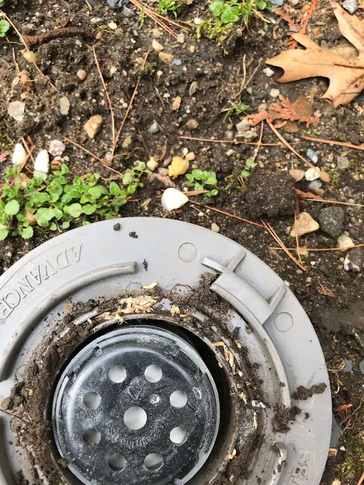 Rest Easy Pest Control Picture 4