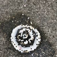 Rest Easy Pest Control ico