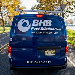 BHB Pest Elimination, LLC Picture 4