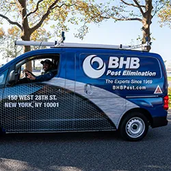 BHB Pest Elimination, LLC Picture 2