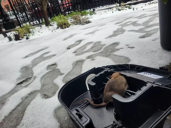 OnGuard Pest Control Picture 9