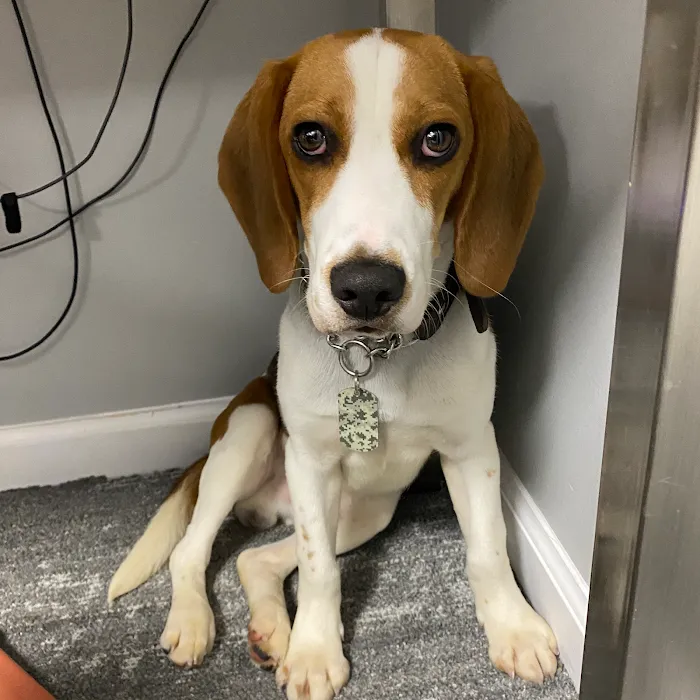 OnGuard Pest Control Picture 4