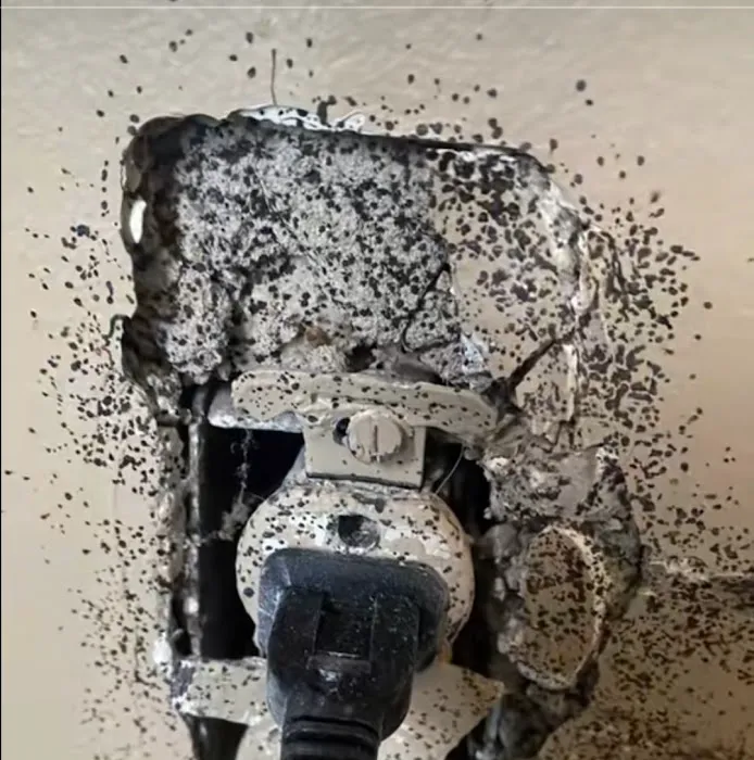 All Out Bed Bug Exterminators NYC Picture 9