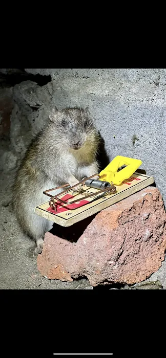 OnGuard Pest Control Picture 7