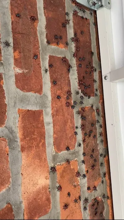 OnGuard Pest Control Picture 8