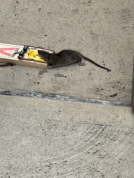 OnGuard Pest Control Picture 10