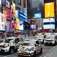 Broadway Pest Services ico