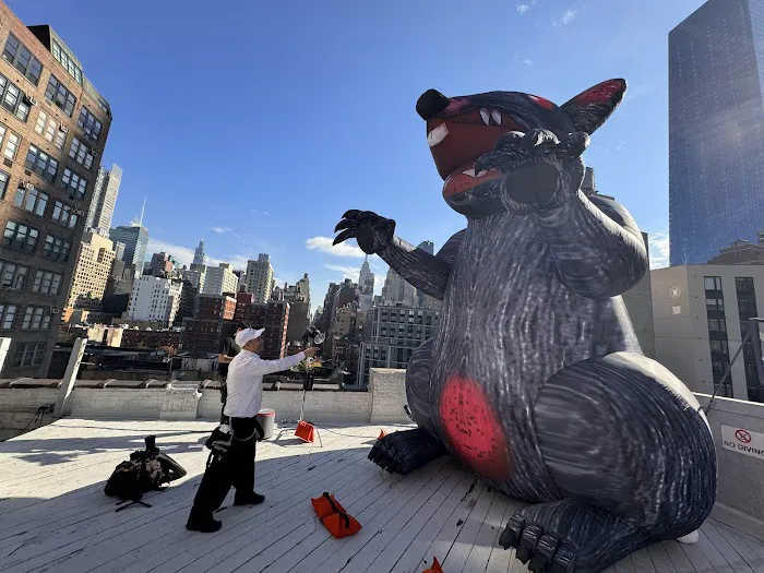 Broadway Pest Services Picture 3