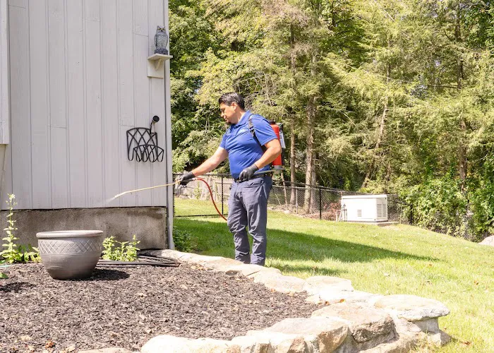 JP McHale Pest Management Picture 9