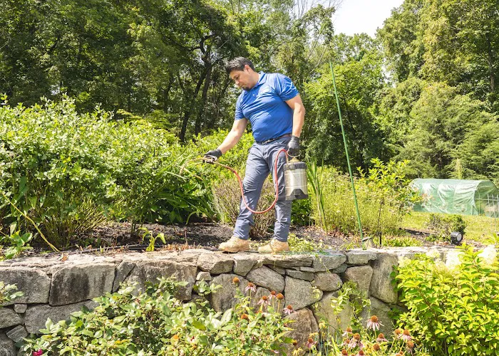 JP McHale Pest Management Picture 5