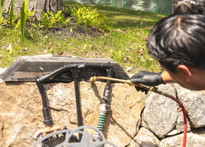 JP McHale Pest Management Picture 4