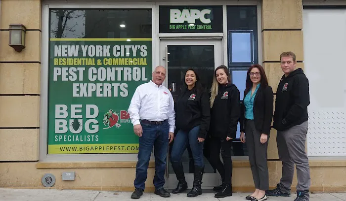 Big Apple Pest Control Picture 9