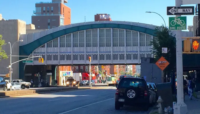 Big Apple Pest Control Picture 8