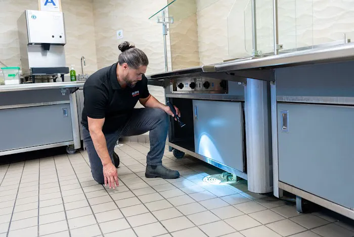 RJM Pest Services, Inc. - Commercial Pest Control in NYC Picture 5