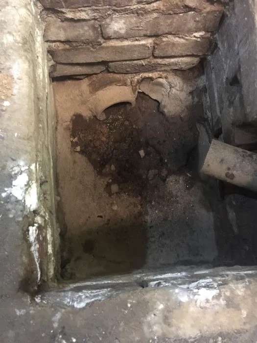 Excel Pest Management, Inc. Picture 9