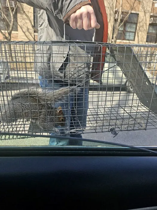 Eagle Pest Service Control Picture 10