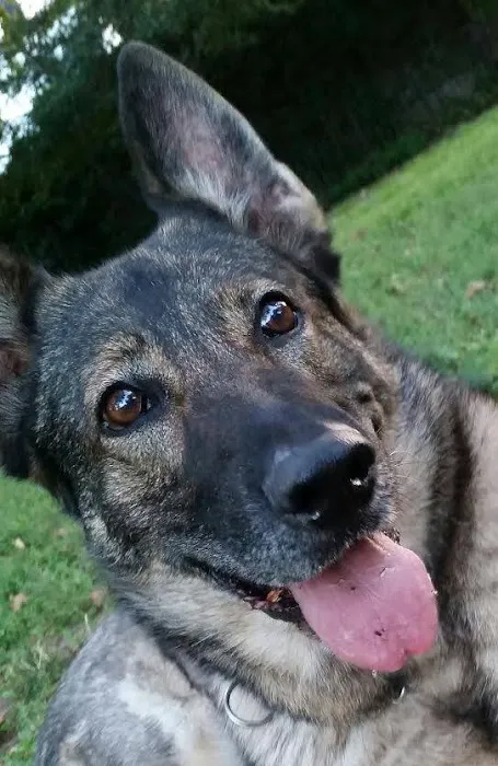 NYC Bedbug Inspections Picture 1