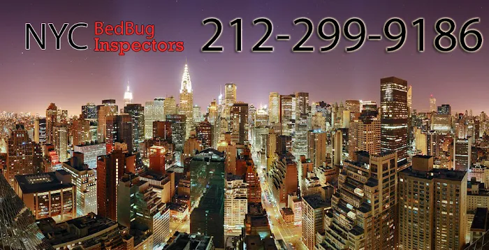 NYC Bedbug Inspections Picture 4