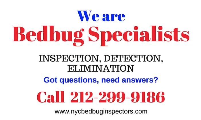 NYC Bedbug Inspections Picture 5