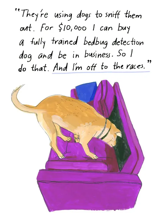 NYC Bedbug Inspections Picture 7