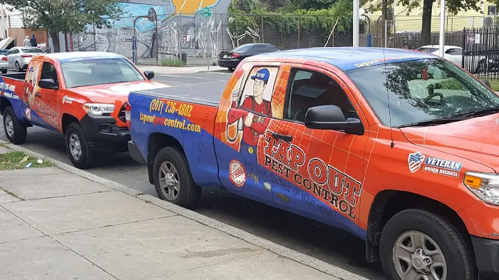 Tapout Termite & Pest Control Picture 10