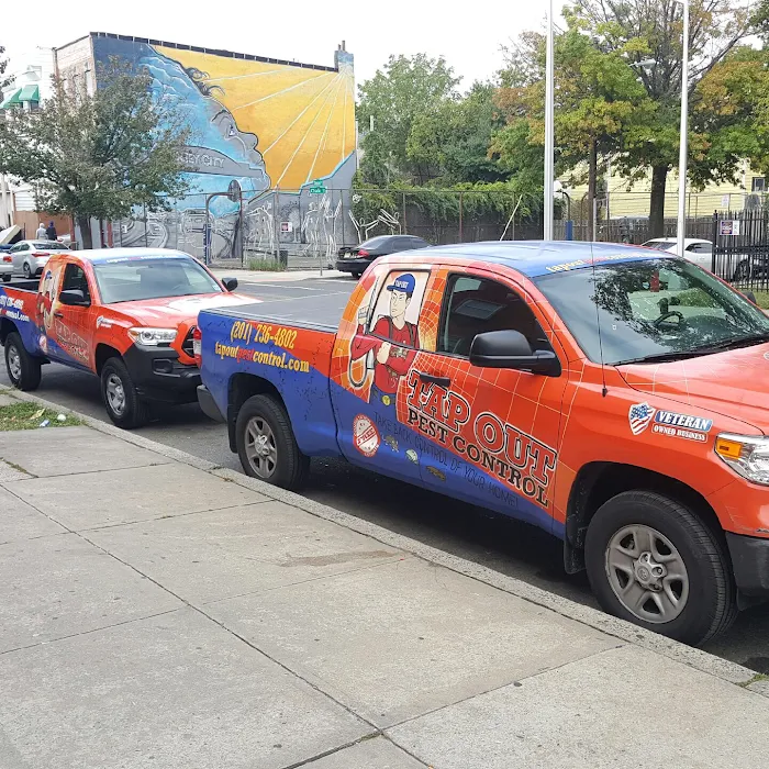 Tapout Termite & Pest Control Picture 3