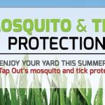 Tapout Termite & Pest Control