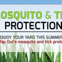 Tapout Termite & Pest Control ico