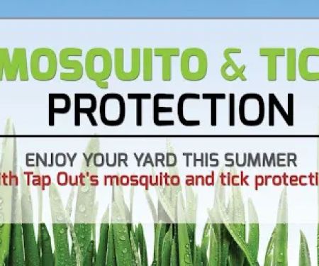 Tapout Termite & Pest Control