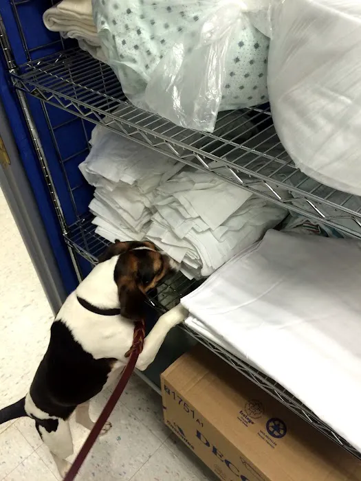 NYC Bed Bug Inspections Picture 5