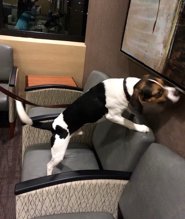 NYC Bed Bug Inspections Picture 10