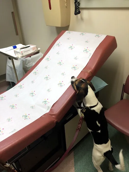 NYC Bed Bug Inspections Picture 6