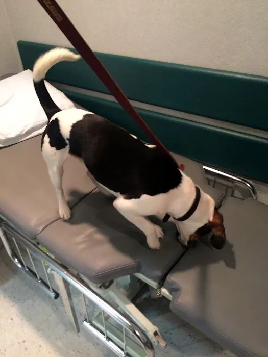 NYC Bed Bug Inspections Picture 2