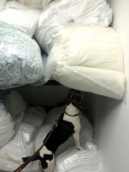 NYC Bed Bug Inspections Picture 3