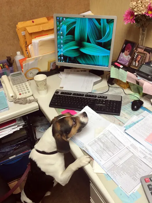 NYC Bed Bug Inspections Picture 9